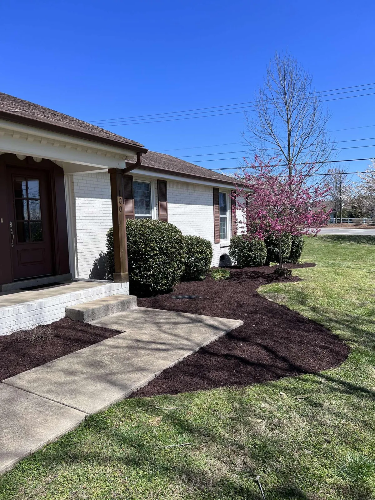 Ranch home with flowering redbud tree and fresh mulch landscape beds